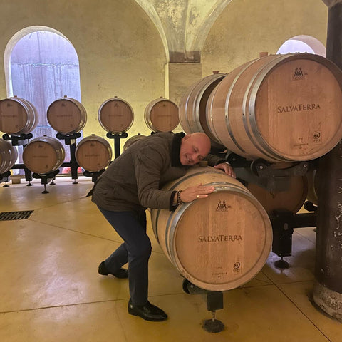 Wine barrels in cellar